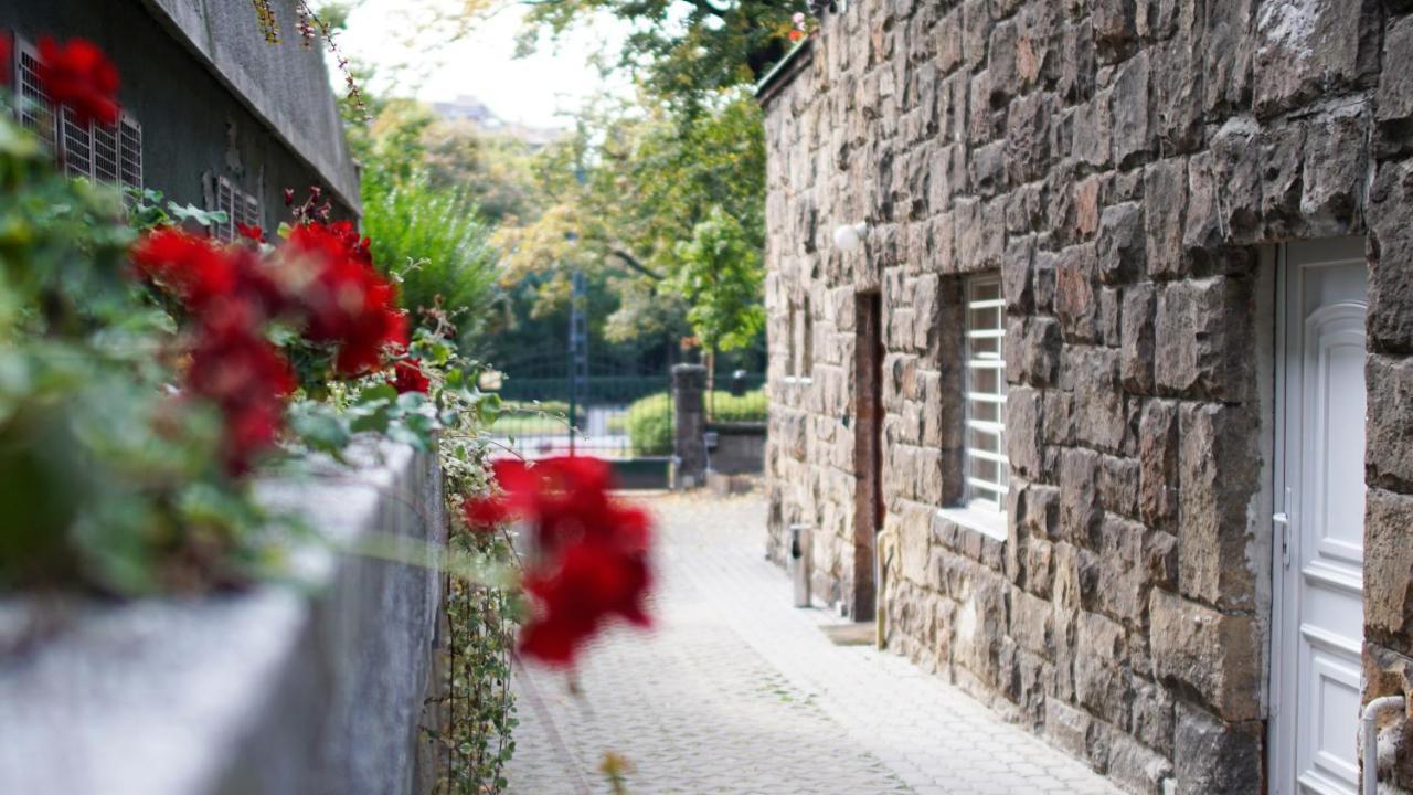Auberge de jeunesse Garden